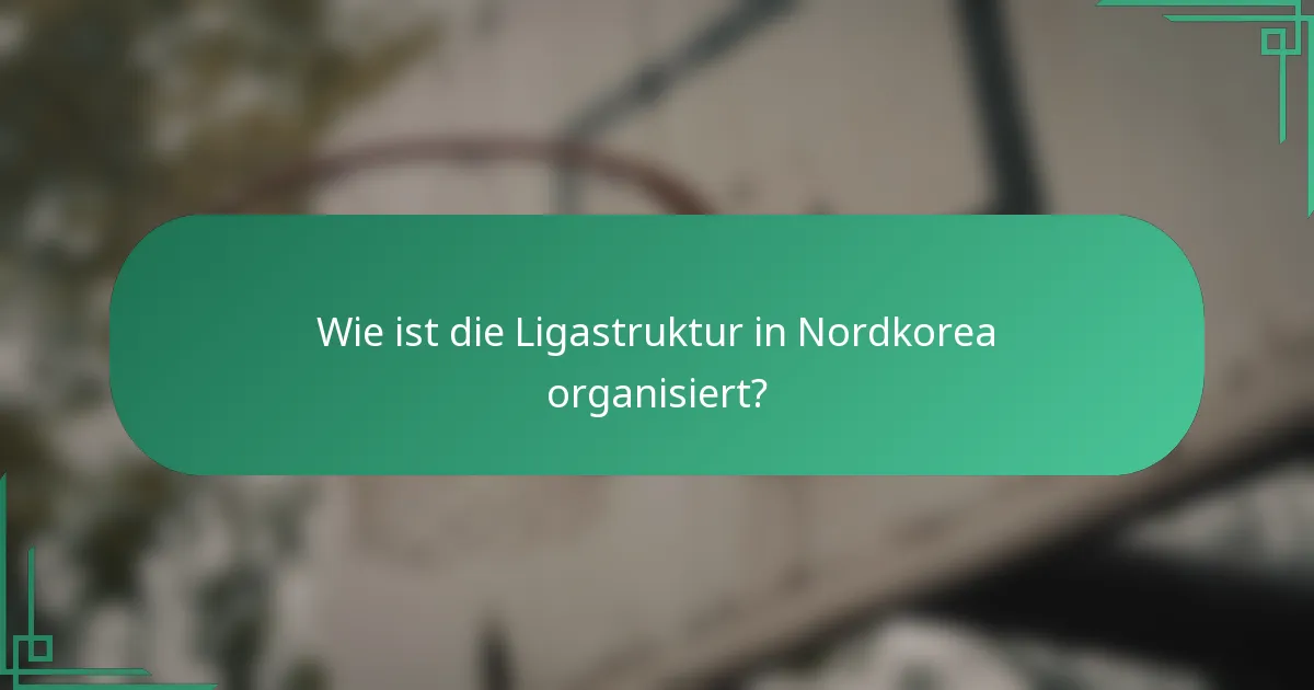 Wie ist die Ligastruktur in Nordkorea organisiert?
